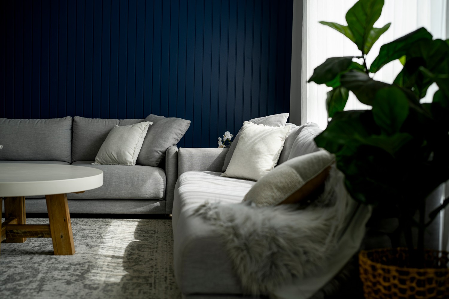 Stylish living room featuring grey sofas with cushions, a round wooden coffee table, and a large green plant against a dark blue wall.